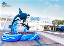 Tour Nhật Bản Cung Đường Tokyo - Núi Phú Sĩ - Thuỷ Cung Kamogawa